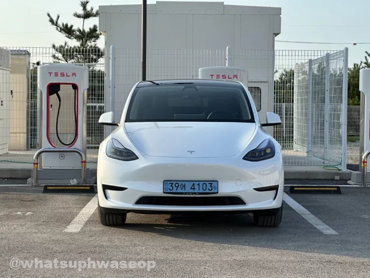 Tesla Model Y RWD